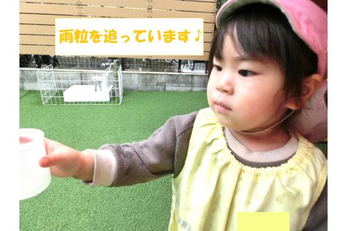 カップも出して<br>雨粒を中に入れましたよ<span style='color:#1effff;'>★</span><br><br>下に置いたり、<br>手に持って雨粒を<span style='color:#28ff28;'>追いかけたり</span>と<br>様々な遊び方を楽しみましたよ<span style='color:#ff9328;'>！</span>