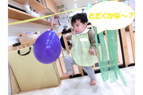 風船遊びが大好きな<span style='color:#ffff42;'>ひよこチーム</span>さん<span style='color:#ff9b38;'>♪</span><br>「あそんでいいよ~」と伝えると<br><span style='color:#ff51a8;'>嬉しそう</span>に風船の場所まで<br>走って移動<span style='color:#7575ff;'>!(^^)!</span><br><br>風船を力強く<span style='color:#ff3d3d;'>「パ~ンチ」</span><br><span style='color:#ff3333;'>パンチ</span>をしても戻ってくる風船に<br>少し<span style='color:#42ffff;'>汗</span>をかくほど<span style='color:#3333ff;'>夢中</span>に<br>なって遊んでいましたよ<span style='color:#ff4ca5;'>!</span>