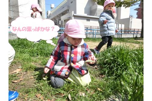 <span style='color:#9328ff;'>ひよこチーム(0歳児)</span>は、<br>公園内を<span style='color:#ff23ff;'>散策</span>しましたよ<span style='color:#ff2323;'>★</span><br><br><span style='color:#ff9123;'>お天気</span>も良く暖かかったので、<br>たくさん歩くことができました(<span style='color:#28ff93;'>*</span>^^<span style='color:#2dff96;'>*</span>)<br><span style='color:#28ffff;'>歩く</span>のもとても上手になり、<br>好きな所へ<span style='color:#ff2dff;'>すたすた</span>と行きます<span style='color:#ff2323;'>!</span><br><br>まだ<span style='color:#ff8e1e;'>お花</span>は少なかったですが、、<br><span style='color:#28ff28;'>草や葉っぱ</span>がたくさんあり、<br>自然に触れることができました(^^)<span style='color:#2828ff;'>v</span>