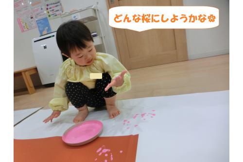 画用紙の木が貼られた大きな模造紙に<br><span style='color:#ff007f;'>手や足で桜の花</span>を描きました<span style='color:#ff7fff;'>❀</span><br><br>初めは<span style='color:#7f00ff;'>恐る恐る手に絵の具</span>をつけていた<br>子どもたちでしたが…<br>