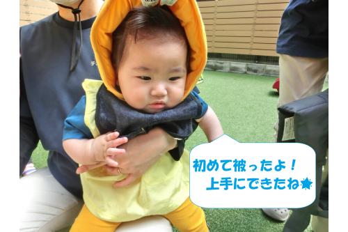 ひよこチームさんも<br><span style='color:#00ff00;'>防災頭巾に初挑戦!</span><br>なにこれ?と不思議そうにしながらも<br>上手にかぶっていました<span style='color:#ffff00;'>★</span>