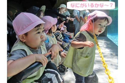 まず初めに<span style='color:#7f00ff;'>大きな水槽</span>の前へ!<br><br><span style='color:#ff007f;'>「なにがいる~?」</span>と<br>みんなが覗き込んだ先には…<br>