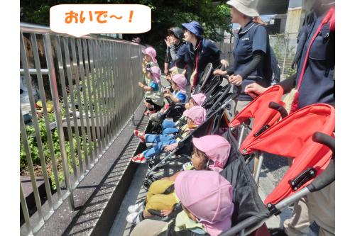 次に向かった場所では<br>動物の姿は見えず…<br><br><span style='color:#ff7fbf;'>「お家にいるのかな?」</span><br><span style='color:#ffbf7f;'>「おいで~!」</span><br>とみんなで呼んでみると<br>