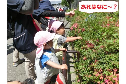 <span style='color:#00ff00;'>「あれなに!?」</span>と<br>少し驚いた様子で指さす先には…<br>