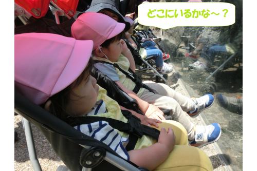 次に来た場所では<br>少し動物が見つけずらく…<br><span style='color:#ff7f00;'>「どこ?」</span><span style='color:#ff007f;'>「あっちかなぁ?」</span>と話していると…<br>