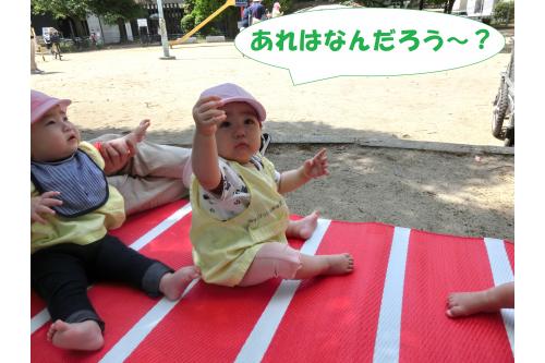 まずはみんなで<br>公園遊びを楽しみます<span style='color:#ffff00;'>★</span><br>ひよこチームは<br><span style='color:#ff007f;'>初めての公園！</span><br><span style='color:#00ff00;'>なにがあるかなぁ？</span><br><span style='color:#7f00ff;'>どんな遊びをしているかなぁ？</span>と<br>きょろきょろ観察していましたよ<span style='color:#00ff7f;'>(^^♪</span>