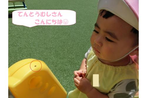 そんなお水やりの後ふと横を見ると<br><span style='color:#ff7f00;'>小さなてんとうむし</span>が！<br><br><span style='color:#7f00ff;'>「みて～てんとうむしさん！」</span><br><span style='color:#00ff00;'>「し～！びっくりするから小さいお声にしよう！」</span><br>と子どもたちだけで話す<br>優しい姿も見られました<span style='color:#00ffff;'>♪</span><br><br>最後飛んでいくと<br><span style='color:#ff007f;'>「ばいば～い！また遊びに来てね♪」</span>と<br>すっかりお友だち♡<br><br>園庭にはちょうちょも遊びに来てくれるので<br><span style='color:#0000ff;'>また探そうね</span>とみんなで約束しました！<br><br>これからも<span style='color:#00ff00;'>野菜やひまわりの生長</span>を<br>子どもたちと一緒に楽しみたいと思います。<br><br>また、次回のブログもお楽しみに<span style='color:#ffff00;'>★</span>