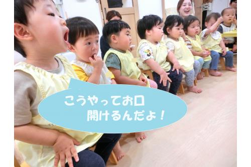 つい先日<span style='color:#42ffff;'>歯科検診</span>があったので<br><span style='color:#4242ff;'>歯医者さん</span>が保育園に来た時<br>どんなお口したかな？という質問に<br><br>「<span style='color:#ffa042;'>こうやって開けるんだよ！</span>」と<br>大きなお口を開けて教えてくれた子ども達<span style='color:#ffff42;'>★</span><br><br>お口の中に<span style='color:#42ffa0;'>歯</span>があることを<br>教えてくれるお友達もいましたよ<span style='color:#ff42ff;'>♪</span>