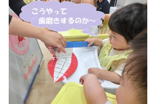 <span style='color:#ffa042;'>ひよこチーム（０歳児）</span>は<br>先生と一緒に歯ブラシを持って<span style='color:#5badff;'>シャカシャカ～♪</span><br><br><span style='color:#42ffa0;'>上手に</span>磨くことができました！<br><br>歯は失ってしまうと<br>再生できない<span style='color:#ff5b5b;'>一生もの</span>です。<br><br>毎日歯磨きをしっかりとして<br><span style='color:#ff42ff;'>歯を大切に</span>していきたいですね(<span style='color:#ff42a0;'>*</span>^^<span style='color:#ff42a0;'>*</span>)<br><br>次回のブログもお楽しみに～<span style='color:#ffff42;'>★</span>