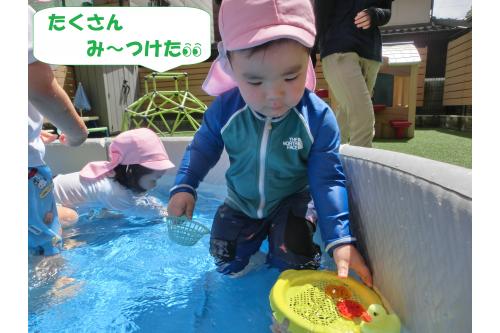 キラキラ光る<span style='color:#ff007f;'>宝石の玩具</span>は<br>重みがあり底に沈むのですが<br>上手に<span style='color:#ff7f00;'>手を伸ばして</span>集めて<br>見せてくれます✨<br>