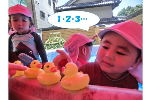 ひよこの玩具はプールの淵に並べて<br><span style='color:#00ff00;'>「何個あるかな～？」</span>と<br>数える姿が！<br><br>数にも興味が出てきたうさぎチームは<br><span style='color:#ff007f;'>「すうじの１はなあに～♪」</span>と<br>歌う姿が増えました(^^♪<br><br>本格的な<span style='color:#ff007f;'>暑さになり</span>夏のあそびが<br>どんどんたのしくなってきました！<br>様々なあそびを通して<br><span style='color:#ff7f00;'>みんなで夏を楽しみたい</span>と思います<span style='color:#ff00ff;'>♪</span><br>また、次回のブログもお楽しみに<span style='color:#ffff00;'>★</span>
