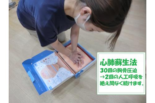 <span style='color:#7f00ff;'>心肺蘇生</span>の再確認も行いました。<br><br>毎月行っている心肺蘇生法でも<br>その時々で最良の方法、新たな発見があります。<br><br>日々情報を<span style='color:#00ff00;'>最新のものにアップデート</span>し<br>子ども達の安全に努めています。<br>