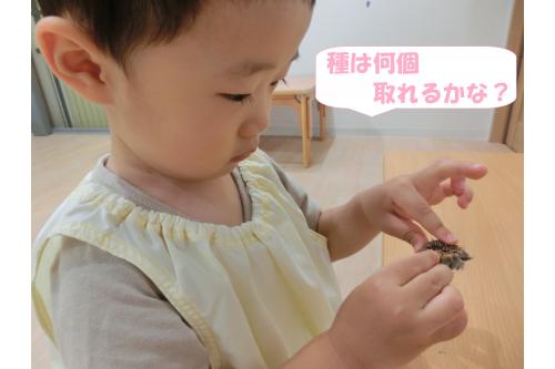 <span style='color:#ff007f;'>「なにが入ってるかな?」</span>と<br>早速中身を見てみると…<br>