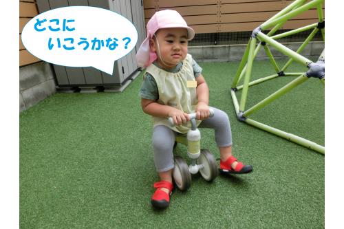 <span style='color:#7f00ff;'>三輪車</span>は慣れた様子で<br>足でビューンと駆け抜けます!<br><br>「<span style='color:#00ff00;'>ひよこチームさん</span>もいるから<br>気を付けて乗ろうね」と言うと<br><span style='color:#007fff;'>「どこだと走れるかなぁ」</span>と<br>思案している姿が見られます。<br><br><br>かわいいひよこチームさんに<br>うさぎチームもりすチームも<br>メロメロで<span style='color:#ff007f;'>「かわいい♡」</span>と<br>よく聞こえてきますよ<span style='color:#00ff7f;'>(^^♪</span>