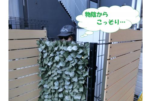 <span style='color:#7f00ff;'>不審者</span>に扮した職員が<br>園庭の陰からこっそり…<br>