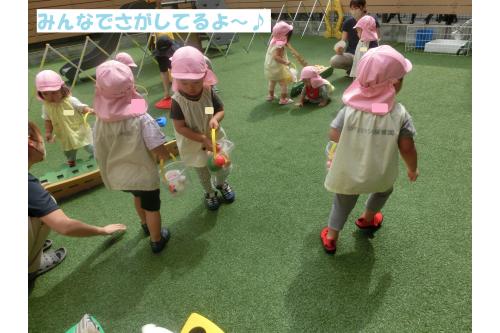 <span style='color:#ff7f00;'>きのこ</span>を割いた後は<span style='color:#00ff00;'>園庭</span>で<br>「<span style='color:#ff7abc;'>キノコ狩り</span>」をしました<span style='color:#ffff00;'>★</span><br><br><span style='color:#bc7aff;'>おもちゃのきのこ</span>と<span style='color:#ff7aff;'>自分たちで作ったきのこ</span>を<br>「どこにあるかな?」と探して<span style='color:#00ffff;'>バケツ</span>の中に<span style='color:#ff7a7a;'>!</span><br><br><span style='color:#7affbc;'>バケツ</span>の中がいっぱいになると<br><span style='color:#7affbc;'>新しいバケツ</span>を手に取り、<br>またまた<span style='color:#ff007f;'>きのこ探し</span>を楽しみました!<span style='color:#ff0000;'></span>