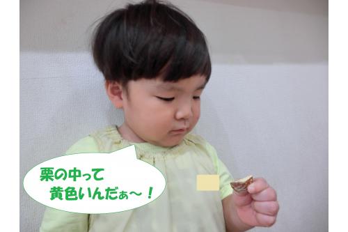 中を割ってみると<br><span style='color:#ff7f00;'>黄色の実</span>が!<br><br><span style='color:#7f00ff;'>「茶色じゃないね!」</span>と<br>皮と実の色の違いに<br>驚いていました<span style='color:#ffff00;'>★</span><br>歌では歌いますがなかなか<br><span style='color:#7f00ff;'>実際に触れる</span>ことが難しい<br>ものもあります。<br><br>少しでも本物に触れて<br><span style='color:#00ff00;'>季節を体感</span>してもらえたらなと<br>思います<span style='color:#ff00ff;'>(^^♪</span><br>また、次回のブログもお楽しみに<span style='color:#ffff00;'>★</span>
