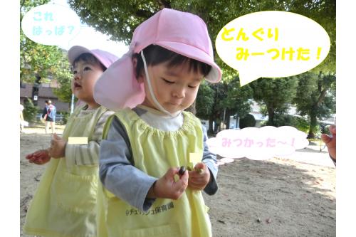 公園の様子も少しずつ変わり、<br><span style='color:#7fff00;'>緑色</span>から<span style='color:#ff007f;'>赤色</span>が増えました<span style='color:#ffbc7a;'>(^^♪</span><br>子どもたちも「あった～」「みて～」と<br><span style='color:#ff7aff;'>たくさん</span>の変化に気付いて教えてくれます<span style='color:#ffff00;'>★</span>