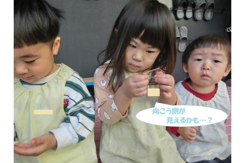 手で<span style='color:#7f00ff;'>ギューッと</span>落ちないように<br>持っているとだんだん溶けてまた<span style='color:#007fff;'>水</span>に！<br><br><span style='color:#ff7f00;'>「手濡れてきた！」</span>と<br>新発見もありました。<br><br>私たちが生活している場所では<br><span style='color:#0000ff;'>雪や氷</span>はなかなか自然に見るのは<br>難しいものです。<br><br>ですが、わずかな<span style='color:#ff007f;'>チャンス</span>を<br>逃さないようにこれからも<br>子ども達にたくさんの<span style='color:#00ff00;'>自然</span>を<br>伝えていけたらと思います♪<br><br>また、次回のブログもお楽しみに<span style='color:#ffff00;'>★</span>