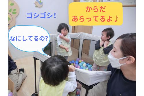 ボールを「<span style='color:#ff7abc;'>じゃ～♪</span>」と出すと<br>「キャハハハ<span style='color:#ff7aff;'>♥</span>」と<span style='color:#ff7aff;'>大喜び</span>の子どもたち<span style='color:#ff0000;'>！</span><br><br><span style='color:#ff7aff;'>うさぎチーム</span>の<span style='color:#7a7aff;'>お兄ちゃん</span>・<span style='color:#ff7abc;'>お姉ちゃん</span>が<br><span style='color:#b266ff;'>ごっこ遊び</span>を始めると<br><span style='color:#ffbc7a;'>りすチーム</span>のお友だちも一緒に…<span style='color:#7affbc;'>（笑）</span><br><br>いろいろなことに<span style='color:#4cffff;'>興味津々</span>です<span style='color:#ff7a7a;'>♪</span>