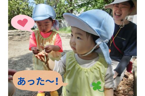 <span style='color:#23ff23;'>りすチーム（１歳児）</span>も、公園を散策♪<br>葉っぱに<span style='color:#ff2d96;'>興味津々！</span><br><br>「<span style='color:#96ff2d;'>いろんな形</span>があるね～」<br>「こっちは、<span style='color:#2dff96;'>みどり</span>！<span style='color:#ff9933;'>きいろ</span>もあった！」<br><br><br>お話も<span style='color:#ff2828;'>上手</span>になってきて、<br><span style='color:#962dff;'>いろんな発見</span>を伝えてくれます<span style='color:#ff28ff;'>❤</span>