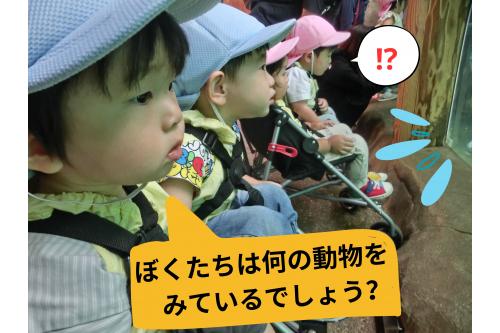 先生に<span style='color:#ff7abc;'>抱っこ</span>してもらったり、<br><span style='color:#7abcff;'>ベビーカー</span>から<span style='color:#ff7a7a;'>たくさんの動物</span>を<br>目の前にし、子どもたちも<span style='color:#ff38ff;'>大喜び</span><span style='color:#a851ff;'>♪</span>