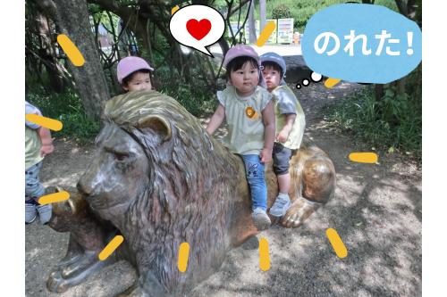 <span style='color:#ff7f00;'>ライオンさん</span>の銅像を見つけて<br>最初は<span style='color:#7abcff;'>恐る恐る</span>触っていた子どもたち…。<br><br><span style='color:#7aff7a;'>動かない</span>とわかると<span style='color:#ff7a7a;'>ペタペタ</span>触ったり、<br>「<span style='color:#ff7aff;'>乗ってみたい</span>！」と上手にまたがって<br><span style='color:#bc7aff;'>ニコニコ</span>でした<span style='color:#bcff7a;'>(^^♪</span>