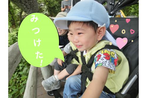 <span style='color:#bc7aff;'>写真</span>や<span style='color:#7affbc;'>絵本</span>で見ていた<span style='color:#ffbc7a;'>動物</span>を<br>実際に見て、子どもたちの<br><span style='color:#7a7aff;'>目</span>もキラキラ✨（笑）<br><br>いろいろな<span style='color:#ff7abc;'>表情</span>が見れました<span style='color:#bcff7a;'>(^^♪</span>
