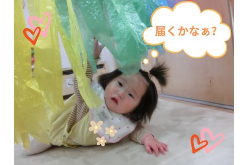 ハイハイで近づいて<span style='color:#ff7f00;'>そのまま手を伸ばしている</span>姿も<span style='color:#ff007f;'>♡</span><br><br><span style='color:#00ff00;'>無事つかめたようで<br></span>ニコニコで引っ張って楽しんでいました!<br><br><span style='color:#7f00ff;'>今しか見れない遊び方だなぁ</span>と<br>目に焼き付けて一緒に遊んでいます(笑)<br><br>カラフルにキラキラ<span style='color:#ff007f;'>光ったり</span>しゃかしゃか<span style='color:#ff7f00;'>音が鳴る</span>すずらんカーテン。<br>視覚的にも聴覚的にも楽しめたようです<span style='color:#007fff;'>(^^♪</span><br><br>これから<span style='color:#7f00ff;'>夏に向かって</span>季節の遊びも<br>たくさん楽しんでいけたらと思います。<br><br>また、次回のブログもお楽しみに<span style='color:#ffff00;'>★</span>