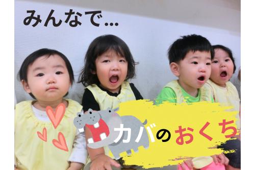 最後はもうすぐある<br><span style='color:#ff3333;'>歯科検診</span>の練習♪<br><br>上手に<span style='color:#33ff33;'>かばさん</span>の<br><span style='color:#ff3333;'>お口</span>が出来ていました!<br><br><span style='color:#ff3d9e;'>本番が楽しみ</span>ですね(^^♪<br><br><span style='color:#ff9b38;'>次回</span>の<span style='color:#ff33ff;'>ブログ</span>もお楽しみに★<br>