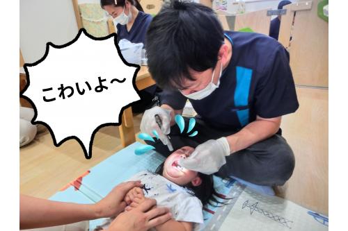 最後まで、<span style='color:#ff2d96;'>にこにこ</span>して<br><span style='color:#2dff2d;'>友達の様子を見ながら</span>順番を待っていた<span style='color:#2828ff;'>りすチームのお友達(*'ω'*)</span><br>・・・まさかの<span style='color:#2d96ff;'>大泣き</span>でした<span style='color:#ff9933;'>（笑）</span><br><br>でも、<span style='color:#ff2391;'>顔をそむけることなく</span>しっかり口を<span style='color:#ff28ff;'>開けることができました♥</span><br><br><span style='color:#33ff33;'>下半期の歯科健診</span>では、<br>また<span style='color:#ff2828;'>違った姿</span>が見られるかな<span style='color:#ff2893;'>♬</span><br><br><span style='color:#ff9933;'>次回のブログ</span>もお楽しみに<span style='color:#ffff33;'>★</span>