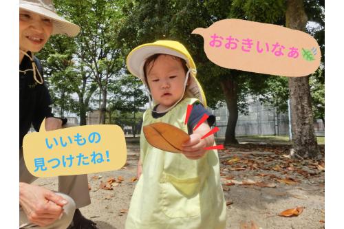 公園には大きな葉っぱが!<br><br><span style='color:#ff00ff;'>ひよこチーム(0歳児)</span>も拾って<br><span style='color:#00ff00;'>「なんだろう?」</span>とジーっと観察していました。<br>