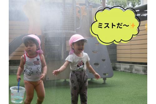 ホースで水を<span style='color:#ff007f;'>ミスト</span>状にすると<br><span style='color:#ff7f00;'>「わー！」</span>と駆け寄ってきてミストの中へ。<br><br>暑い日には<span style='color:#007fff;'>とっても気持ちいい</span>ですよ<span style='color:#00ff7f;'>♪</span>