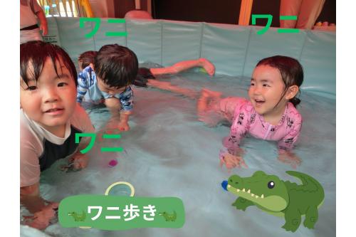 以前ご紹介した<span style='color:#00ff00;'>「ワニ歩き」</span>は<br>みんな上達してこの様子<span style='color:#007fff;'>♪</span><br><span style='color:#ff7f00;'>「ワニさんだよ~みて!」</span>と<br>楽しんでいる子ども達です<span style='color:#ff00ff;'>(^^♪</span><br>プールあそびにもすっかり慣れて<br><span style='color:#7f00ff;'>笑顔いっぱい</span>の毎日!<br><br>プール第3弾のブログもお楽しみに<span style='color:#ffff00;'>★</span>