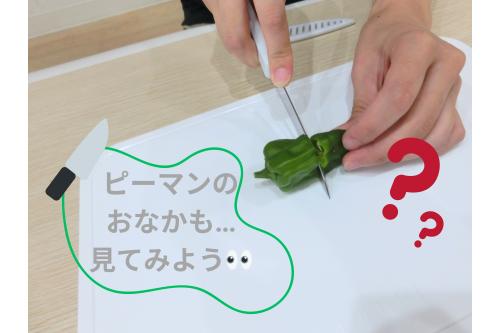 実際に収穫した<br><span style='color:;'>ピーマン</span>の<br><span style='color:#ff33ff;'>お腹</span>を<br>見てみることに…<br>