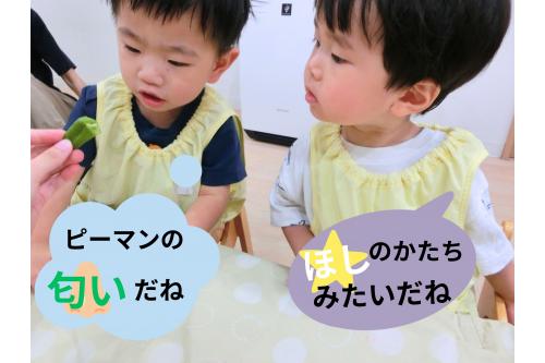 「<span style='color:#2dffff;'>いい匂いだね</span>」<br>「<span style='color:#ff9328;'>ほしみたいだね</span>」<br>「つぶつぶがあるね」と<br>匂いや形をよーく<br><span style='color:#962dff;'>観察して</span>いました☆<br>