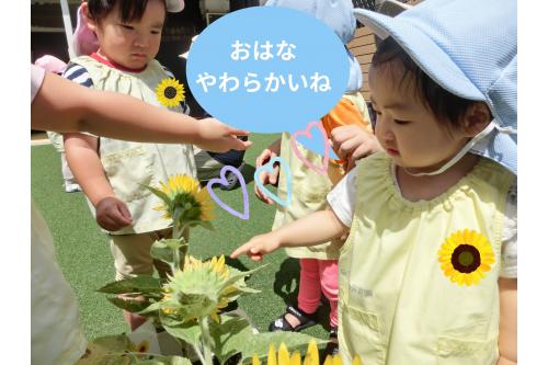 最初は<span style='color:#ff28ff;'>じっくり観察</span>していましたが、<br>少しずつ<span style='color:#ff9933;'>触れる</span>様子がありました<span style='color:#2d96ff;'>(*^^)v<br></span><br>何も<span style='color:#9933ff;'>伝えずとも、</span><span style='color:#ff3399;'>みんな</span>優しく<br><span style='color:#ff962d;'>花びら</span>に触れていましたよ<span style='color:#3399ff;'>♪</span><br><br>なんとなく<span style='color:#2d96ff;'>繊細なもの</span>だということが<br>わかっているのかな?<span style='color:#ff2dff;'>(^^♪</span><span style='color:#9eff3d;'></span>