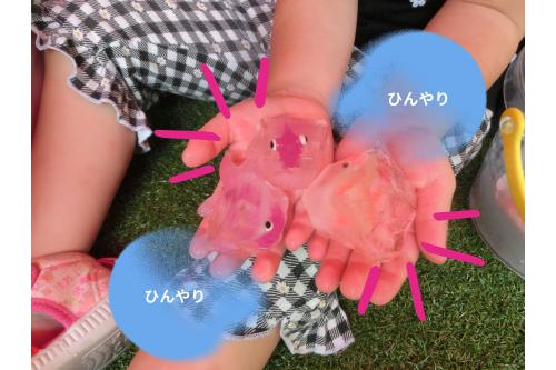 今回は<span style='color:#ff7575;'>金魚</span>や<span style='color:#ba75ff;'>ストーン</span>、<span style='color:#75ff75;'>フィギュア</span><br>を一緒に凍らせてみました！<br><br><br><span style='color:#ffb770;'>「なんだこれー！」</span><br>と<span style='color:#ff70ff;'>ビックリした表情</span>を見せる<br>こどもたち<span style='color:#ff75ff;'>(^^♪</span>