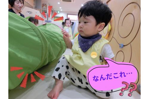 トンネルを出すと<span style='color:#00ff00;'>「なんだ…？」</span>と<br>不思議そうな表情でトンネルをツンツン。<br><br>ばねで<span style='color:#ff007f;'>ばいーん！</span>と反発してくるのに<br>なんでだ？！と思わず<span style='color:#7f00ff;'>先生の方</span>を見ていましたよ！<br>