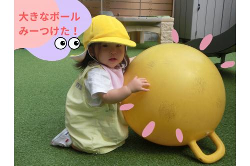 <span style='color:#ff00ff;'>大きなボール</span>を見つけると<br><span style='color:#007fff;'>頑張って持とうと</span>したり大玉ころがしのように<br>コロコロ転がしたり<span style='color:#7fff00;'>♪</span><br><br><span style='color:#ff007f;'>遊び方が日々変わり</span>驚くこともたくさんです!<br>