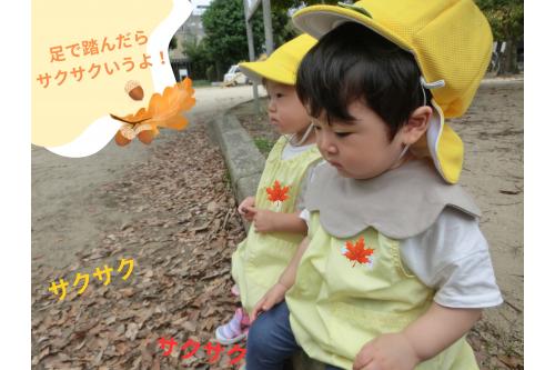 園庭だけでなく<span style='color:#ff007f;'>公園</span>にも<br>お出かけしました!<br><br>座っているだけのように見えますが<br>実は<span style='color:#00ff00;'>足元にある落ち葉</span>を<br>踏みしめて<span style='color:#ff7f00;'>サクサクなる音</span>を<br>楽しんでいます<span style='color:#00ffff;'>♪</span><br><br>初めは<span style='color:#ff007f;'>不思議そうな表情</span>で<br><span style='color:#007fff;'>踏みしめて</span>いましたが<br>どんどん強く踏んで音を楽しんでいましたよ<span style='color:#007fff;'>♪</span><br><br>歩くことも<span style='color:#7f00ff;'>上手になってきた</span>ひよこチームなので<br>散策を楽しんでいきたいと思います♪<br><br><br>また、次回のブログもお楽しみに<span style='color:#ffff00;'>★</span>
