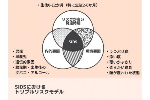 来月の11月は<br><span style='color:#ff2d2d;'>SIDS対策強化月間</span>です。<br><br>SIDSは明確な原因が<br>特定されていませんが<br><span style='color:#2dffff;'>様々な要因が重なった</span>ときに<br>発症されるといわれています。<br><br>強化月間を前に<br>ご家庭でも<span style='color:#93ff28;'>振り返る機会</span>に<br>なっていただければと思います！<br><br>次回の<span style='color:#ff28ff;'>ブログ</span>もお楽しみに⭐<br>