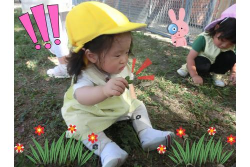 <span style='color:#ff7abc;'>お花</span>や<span style='color:#7aff7a;'>葉っぱ</span>、いろいろな<span style='color:#ffbc7a;'>自然物</span>も<br>見つけることができました<span style='color:#ff7aff;'>♪</span><br><br>先生にお花で<span style='color:#ff7abc;'>指輪</span>を作ってもらったり、<br><span style='color:#ffa851;'>耳</span>にかけて「かわいい<span style='color:#ff7aff;'>♡</span>」と<span style='color:#bc7aff;'>ニコニコ</span>でした<span style='color:#ff7a7a;'>(^^)</span>