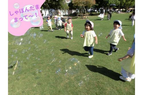 <span style='color:#00ff00;'>お弁当</span>を食べて<span style='color:#7f00ff;'>お腹もいっぱい</span>になった後は<br>芝生で走って<span style='color:#007fff;'>シャボン玉！</span><br><span style='color:#00ff00;'>まってよ～！</span>と追いかける姿が<br>とってもかわいかったです<span style='color:#ff00ff;'>♡</span>