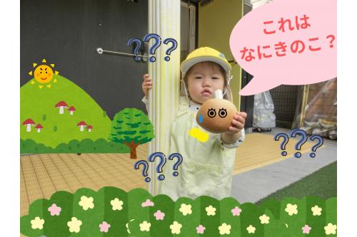 大きな<span style='color:#7abcff;'>きのこ</span>を手に<br>「<span style='color:#38ff38;'>このきのこはなにかな？</span>」という<br><span style='color:#bc7aff;'>悩ましい表情</span>も<span style='color:#ff7f00;'>かわいい</span>ですね<span style='color:#ff007f;'>❤</span>