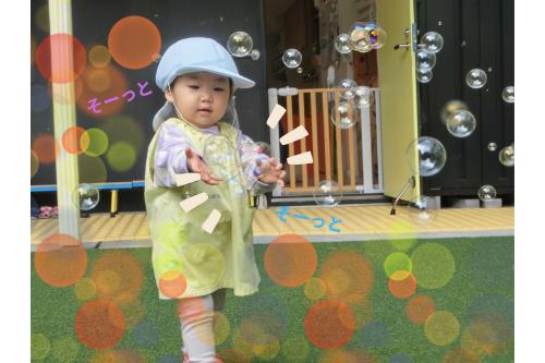 たくさんのしゃぼん玉に囲まれて<br><span style='color:#00ff00;'>そーっとそーっと</span>手を伸ばしていたお友だち。<br><br>たくさんのしゃぼん玉が重なって<br><span style='color:#ff7f00;'>大きなしゃぼん玉</span>になっていて<br><span style='color:#ff007f;'>「いっぱいだったね～」</span>と<br>嬉しそうに教えてくれました<span style='color:#007fff;'>(^^♪</span>