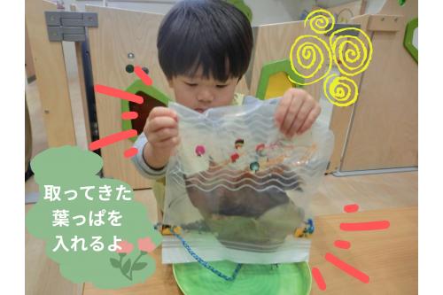 取ってきた<span style='color:#ff962d;'>落ち葉</span>を<br>お皿に入れて…<br>