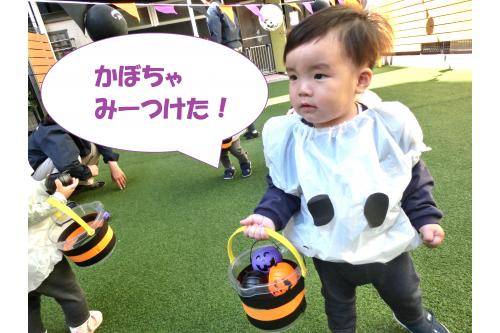 園庭では、<span style='color:#ffba75;'>かぼちゃ探しゲーム</span>をしました<span style='color:#ba75ff;'>!(^^)!</span><br>バケツに<span style='color:#ffba75;'>かぼちゃ</span>を集め<br>お菓子と交換しようねと伝えると、<br><br><span style='color:#ffba75;'><span style='color:#ff75ba;'>「がんばるぞー!」</span></span>とおかしをもらうために<br>一生懸命に<span style='color:#ffba75;'>かぼちゃ</span>を<br>バケツに集めていたこどもたちです<span style='color:#ba75ff;'>♪</span>
